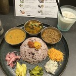 Curry Spice Gelateria KALPASI - 