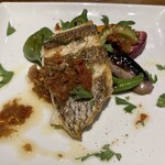 タケル クインディチ - 