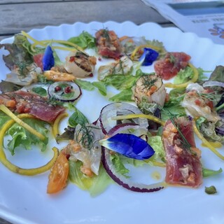 サーファーズ_1