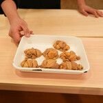 虹吉 - 瀬戸内海大島のあかうに