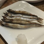 浪漫居酒屋 - ねーししゃもだよねー