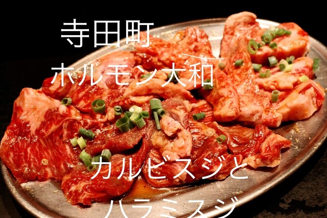 Horumon Yamato Terada Machi Ten