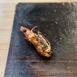 大磯 - 海老の頭