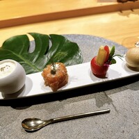 シブ ニシナカス - 