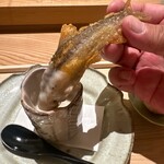 虎白 - 天竜川　鮎のトリュフソース　餅米