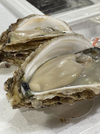 中市商店 - 青森（その他）の写真