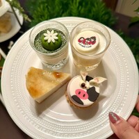 スプレンディード - 