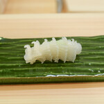 赤吉 - 剣先烏賊