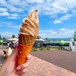 とみたメロンハウス - 