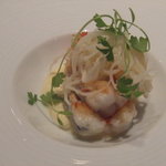 ハジメ - 天使の海老と根セロリのお料理