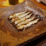 銀座おかもと - 春満載！ 2014.4.x　琵琶湖の稚鮎