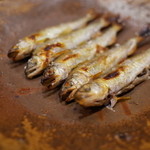 銀座おかもと - 春満載！ 2014.4.x　琵琶湖の稚鮎