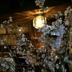 UNDER GROUND CAFE - 『アンダーグラウンドカフェ』、店内に見事な桜が。マスターの奥様のご実家で咲いたものだそう。