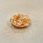 食堂セゾンドール - 