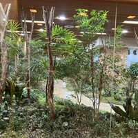 大和屋 横浜店 - 