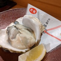 潮り - 