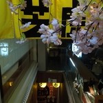 SHIBATORA - 春モード。　H26.4