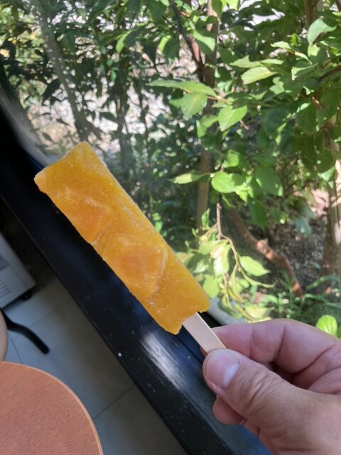 木村家菓子店 - 小国（和菓子）の写真