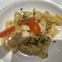 REGA BOSCO - 