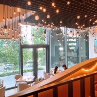 TRATTORIA PIZZERIA 207 渋谷店 - 