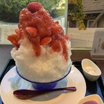 松栄堂 - かき氷