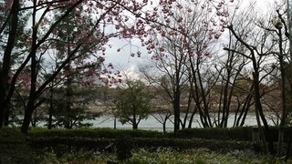 大阪 窓からお花見ができる素敵レストラン 食べログまとめ 大阪 窓からお花見ができる素敵レストラン 食べログまとめ