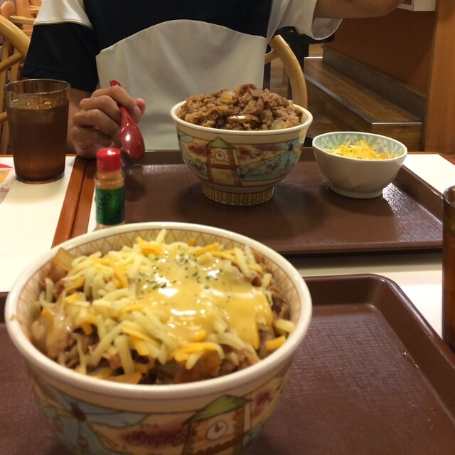 すき家 弘前中野店 - 弘前学院大前（牛丼）の写真