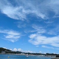 レストラン ラ・マーレ - 