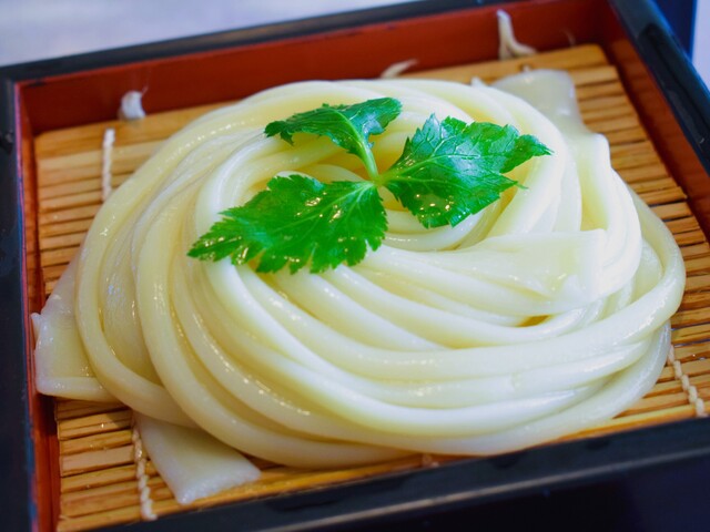 むぎの里 仙台岩切店 - 岩切（うどん）の写真