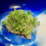 セルサルサーレ - 