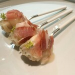 セルサルサーレ - 