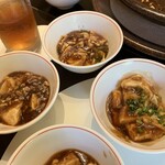 China Ume no Hana Saga Yamato Ten