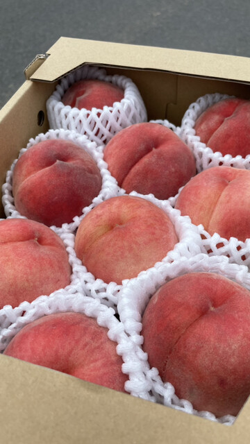 くにみ市場 藤田（その他） &ndash; 福島県伊達郡のローカルマーケット情報