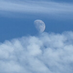 焼きもの家 慶 - スマホで月の海が観えるようになったのは今年の劇的な進歩。特に危機の海ファンとして^_^