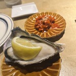 イザカヤキツネ - 