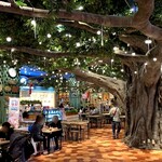 ブルーウォーター・シュリンプ - 