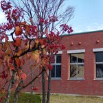 カフェテリア アメニティ - 紅葉も美しい