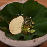 LURRA° - 枝豆豆腐、じゅんさい、剣先イカとジャスミンの出汁