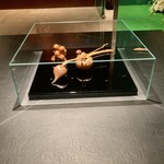 カンテサンス - 