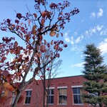 カフェテリア アメニティ - 