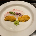 料理屋もり尋 - アコウ、愛媛の赤ウニ、唐津の赤ウニ