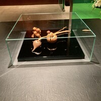 カンテサンス - 