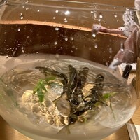 橦木町 しみず - 
