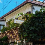 キャラウェイ - キャラウェイ