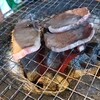 炭火ホルモン焼酒場 恵の家