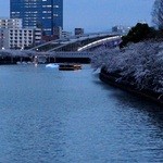 オールドインペリアルバー - クルーズ船の種類は、いくつもありますよ。