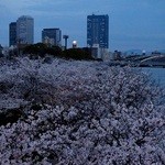 オールドインペリアルバー - OBP方面。戦前は、金属加工の街だった。技術は、ベアリング加工や造幣局へ継承。