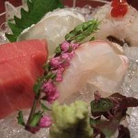 入道 - お刺身