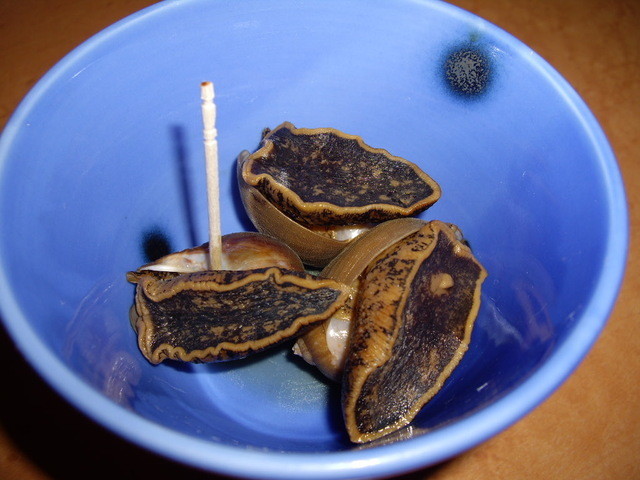 浜井（はまい） - 本八戸（焼き鳥）の写真