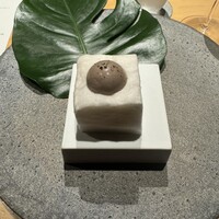 シブ ニシナカス - 